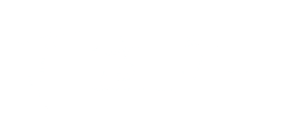 菲道尔