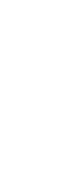 菲道尔